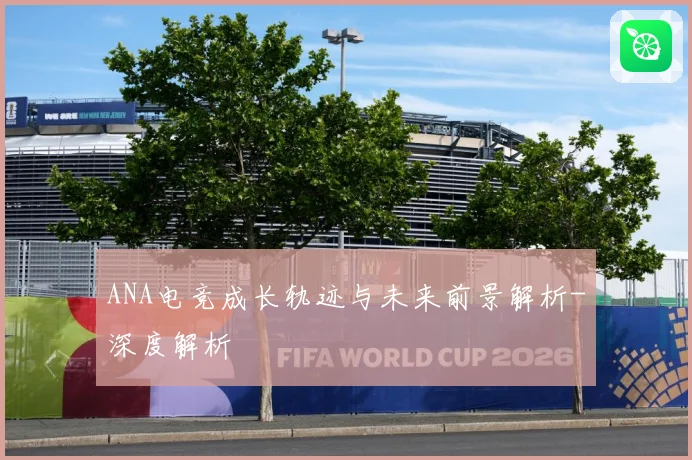 ANA电竞成长轨迹与未来前景解析-深度解析