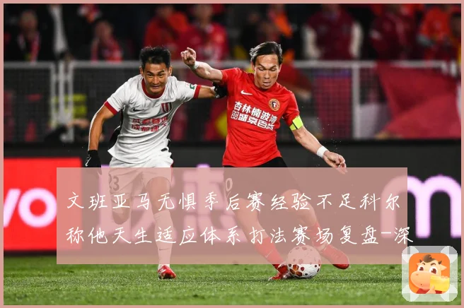 文班亚马无惧季后赛经验不足科尔称他天生适应体系打法赛场复盘-深度解析